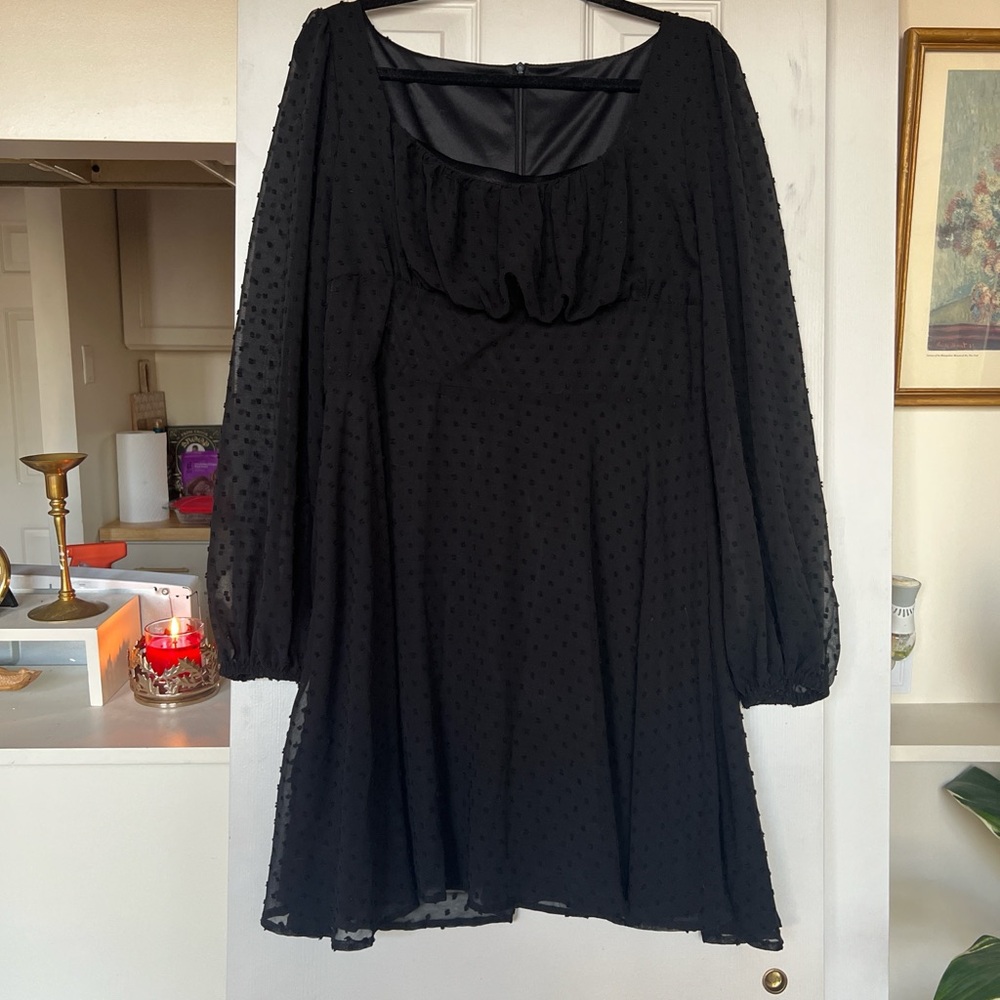 Black Swiss Dot Long Sleeve Mini Dress